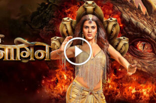 Naagin 7